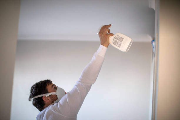 Best Same-Day Mold Removal  in Moscow, ID