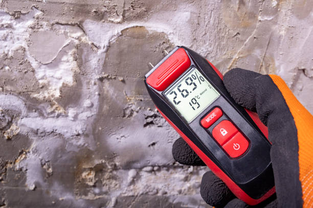 Best Mold Cleaning Services  in Moscow, ID