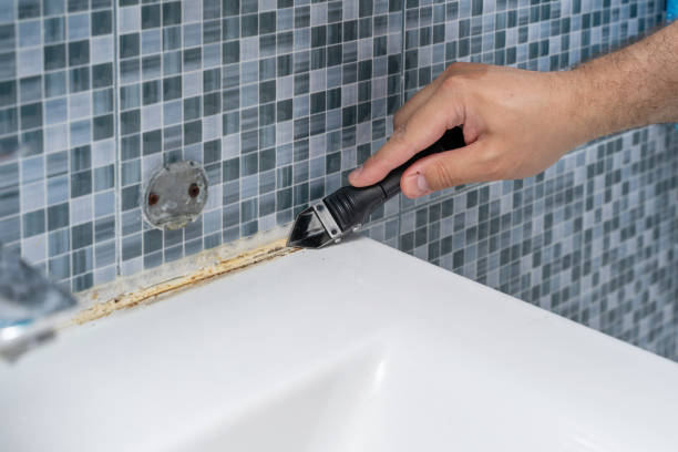  Moscow, ID Mold Removal Pros