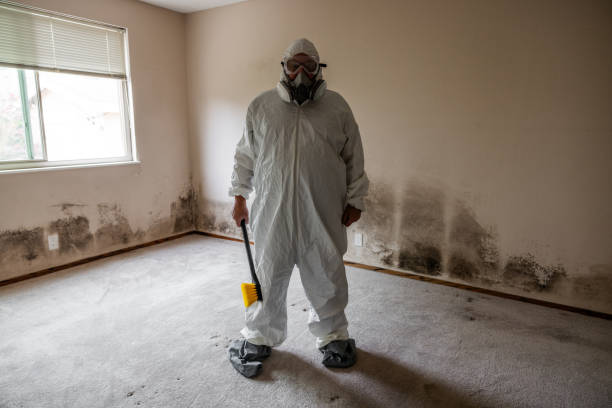 Best Mold Testing  in Moscow, ID